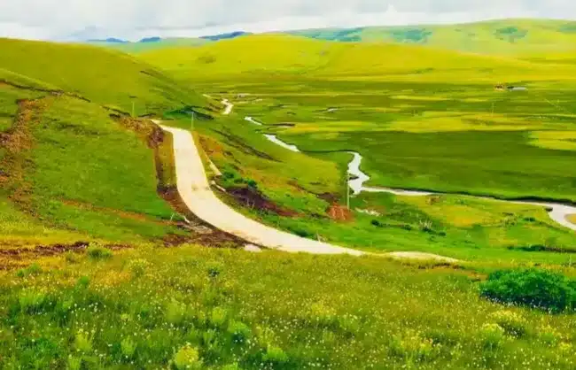 Saihanba-National-Forest-Park-grassland - China Xian Tour: Private & Tailor-Made China Tours Saihanba-National-Forest-Park-grassland