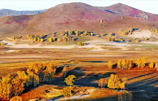 Saihanba-National-Forest-Park-in-autumn - China Xian Tour: Private & Tailor-Made China Tours Saihanba-National-Forest-Park-in-autumn