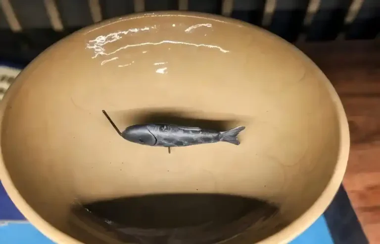 South-pointing-Fish - China Xian Tour: Private & Tailor-Made China Tours South-pointing Fish