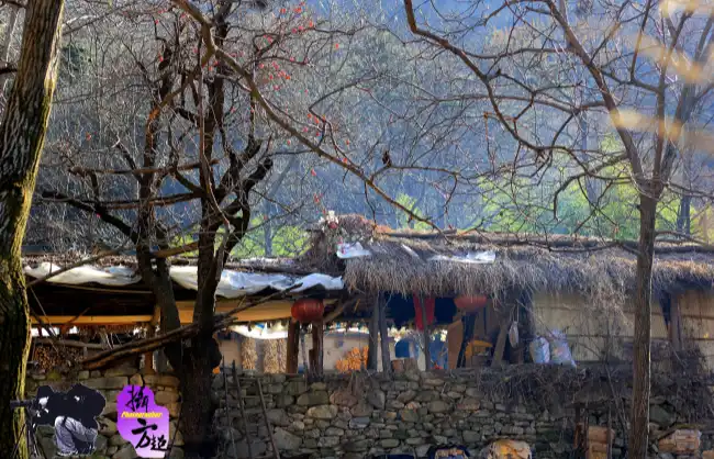 huxian county tour - China Xian Tour: Private & Tailor-Made China Tours Huxian County Tour