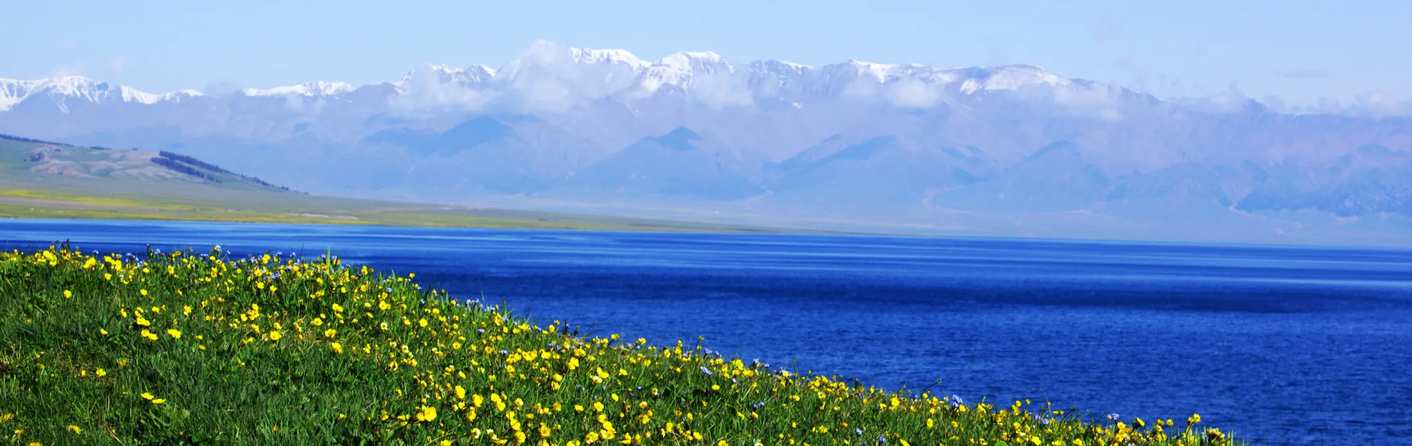 Along the Silk Road head
