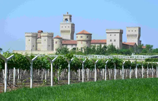 Changyu Reina Winery in Xianyang - China Xian Tour: Private & Tailor-Made China Tours Changyu Reina Winery in Xianyang