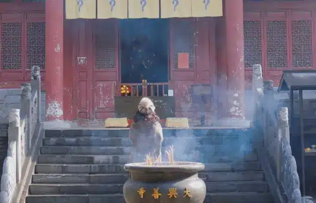 Daxingshan Temple - China Xian Tour: Private & Tailor-Made China Tours Daxingshan Temple