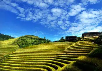 Guilin Longji Terraces
