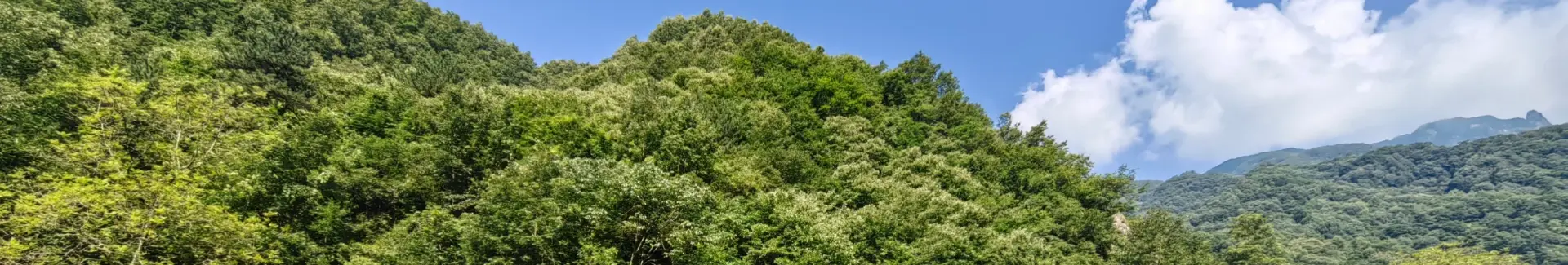 Niubeiliang National Forest Park