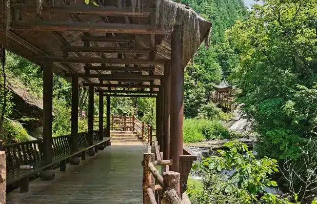 Scenery in Foping Panda Valley - China Xian Tour: Private & Tailor-Made China Tours Scenery in Foping Panda Valley