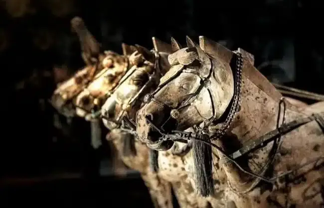 Shaanxi-History-Museum - China Xian Tour: Private & Tailor-Made China Tours Shaanxi History Museum
