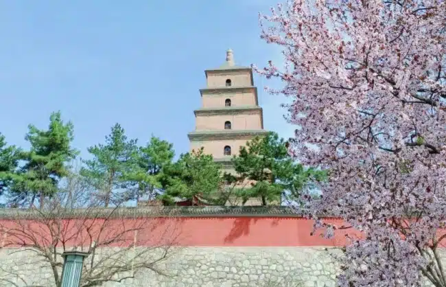 Xian Big Wild Goose Pagoda