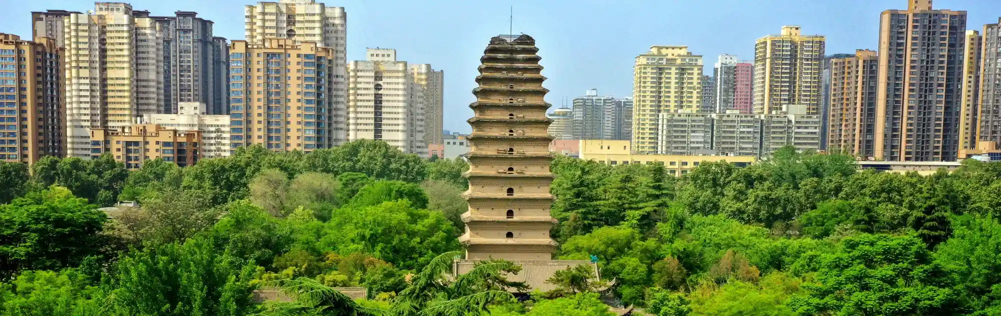 Xian Small Wild Goose Pagoda head