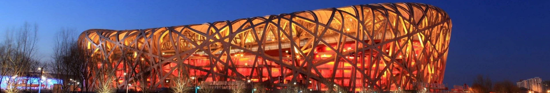 beijing bird nest head
