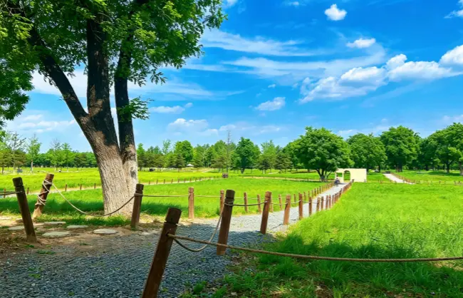 weiyang-palace-ruins-park | China Xian Tour: Private & Tailor-Made China Tours Weiyang Palace Ruins Park in Summer