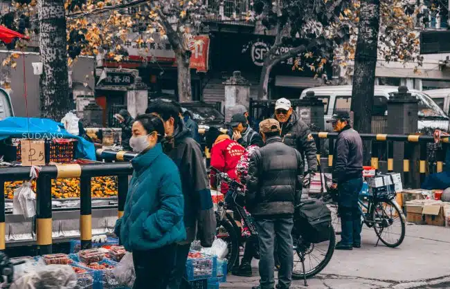 Best Place to See Birds in Xian