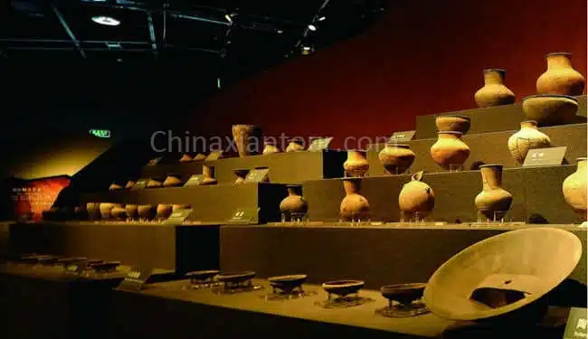2 Days Chengdu Panda Tour from Xian by Bullet Train