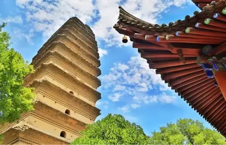 Tour Xian Small Wild Goose Pagoda