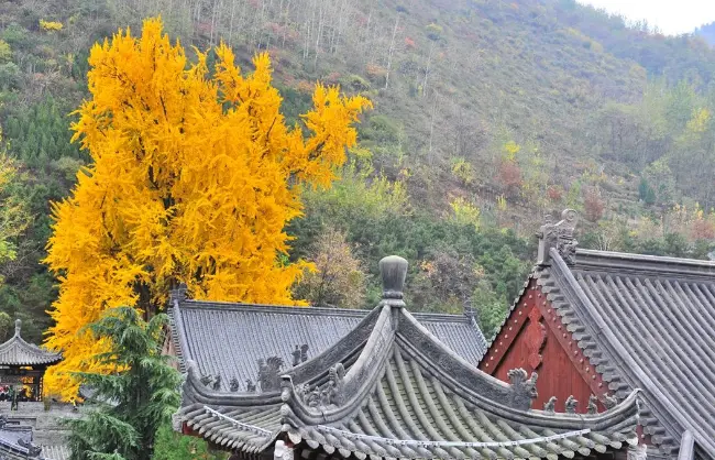 Guanyinchan Temple