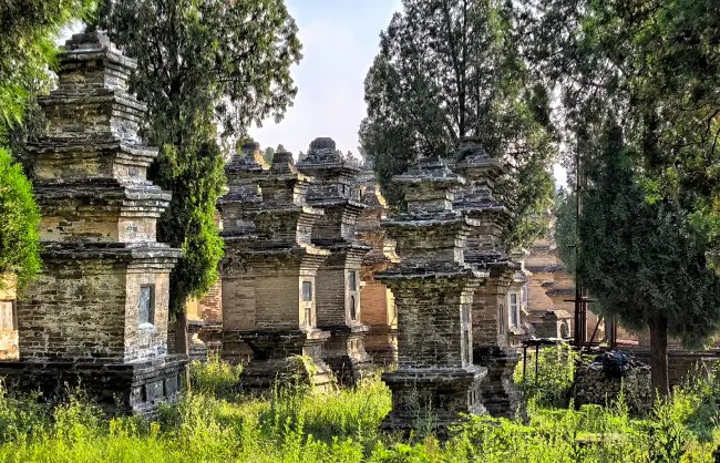 Pagoda forests in Luoyang Shaolin Temple