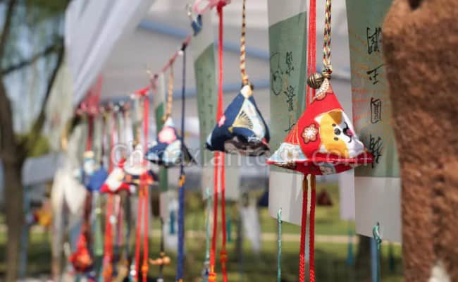 Dragon Boat Festival