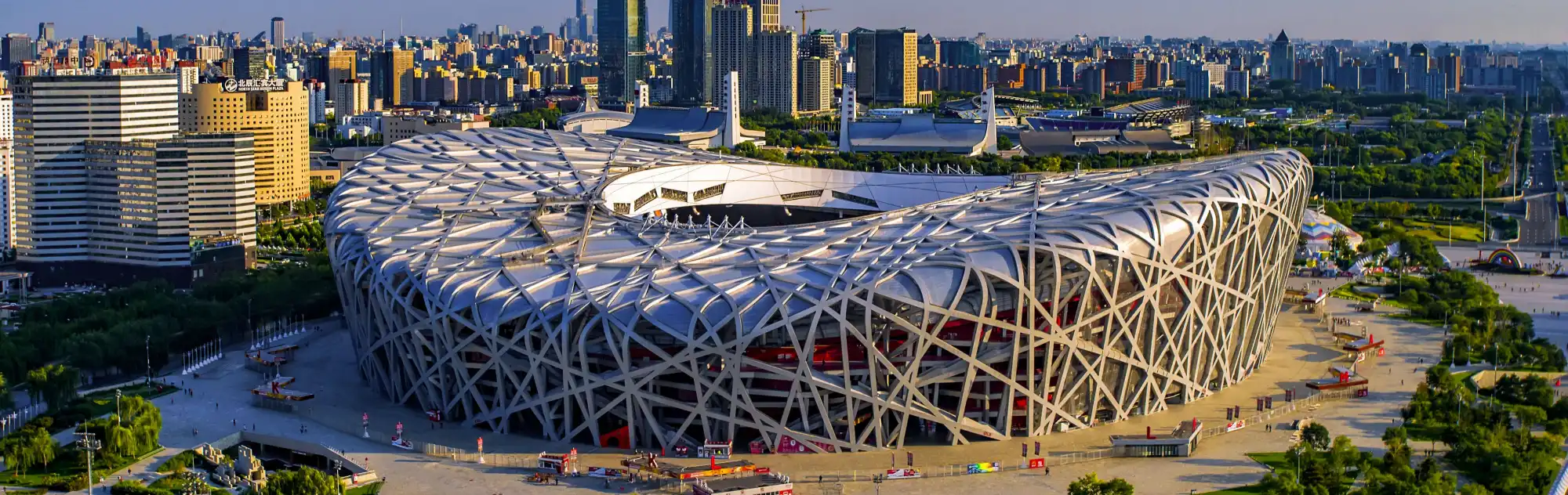 Beijing Bird’s Nest head