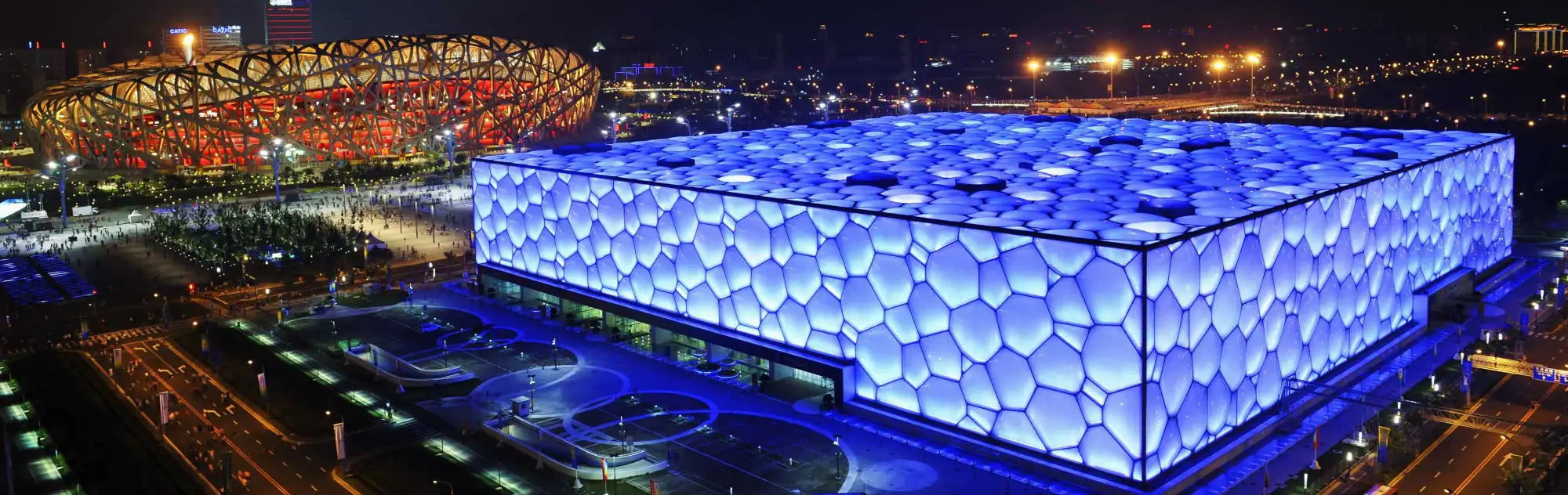 Beijing Water Cube head