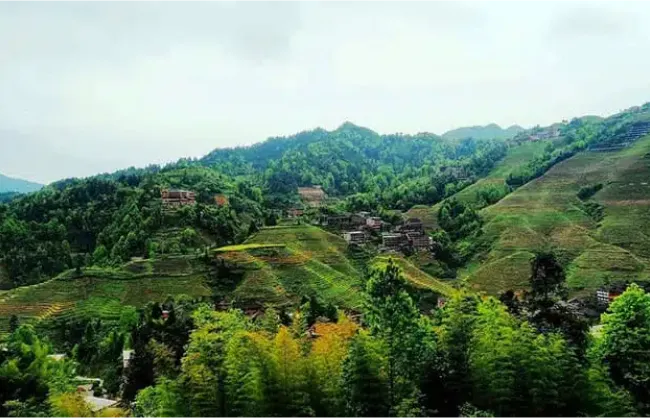 Longji Rice Terraces: One of the Most Beautiful Terraced Fields in China