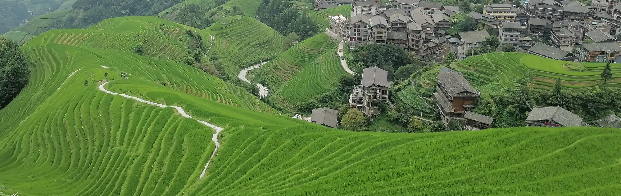 Guilin Longji Rice Terraces head
