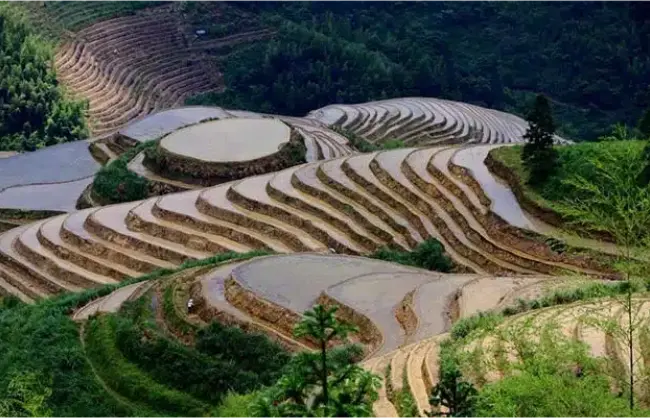 Guilin Longji Rice Terraces