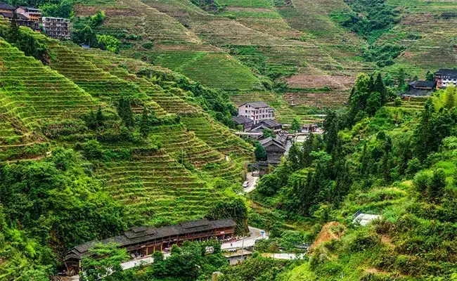 Guilin Longji Rice Terraces