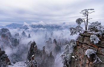 Tianzi Mountain