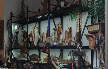Tunxi Ancient Street