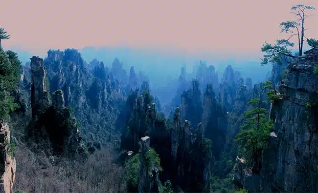 Yangjiajie Scenic Area