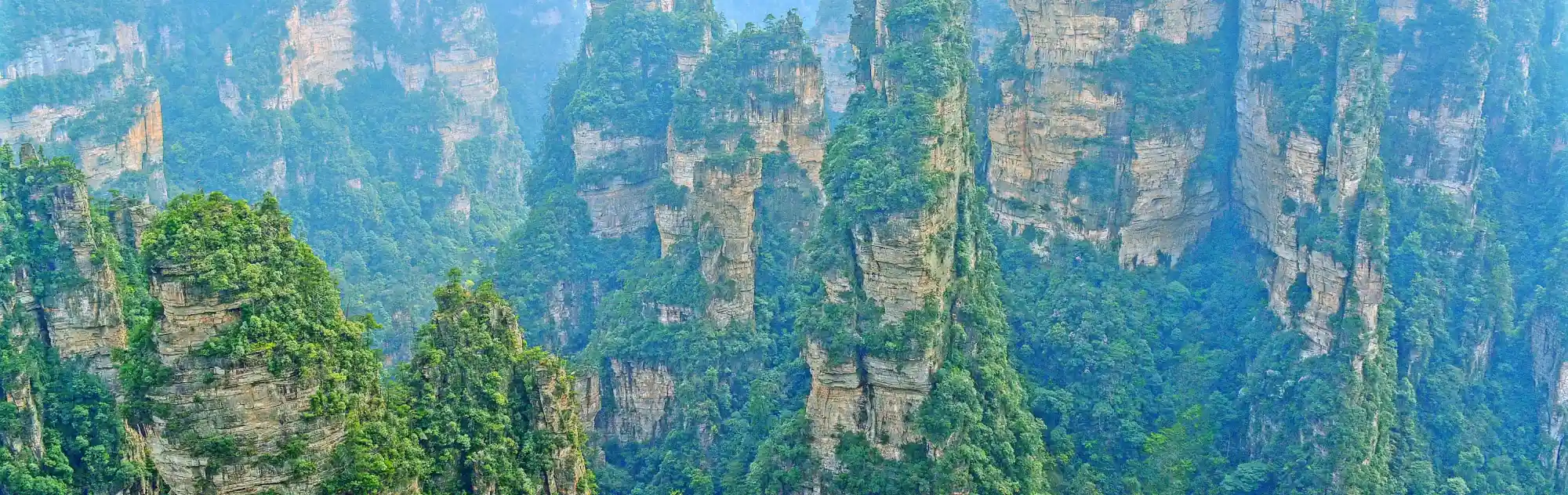 Yangjiajie Scenic Area head