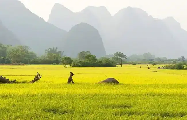 Yangshuo – Explore the Best of Karst Landscape of South China