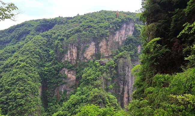 Zhangjiajie Grand Canyon