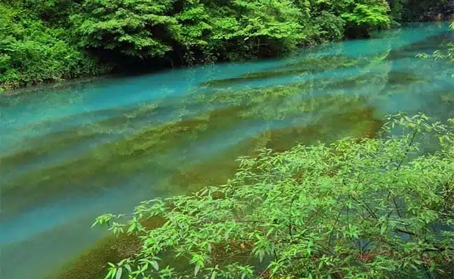 Zhangjiajie Grand Canyon