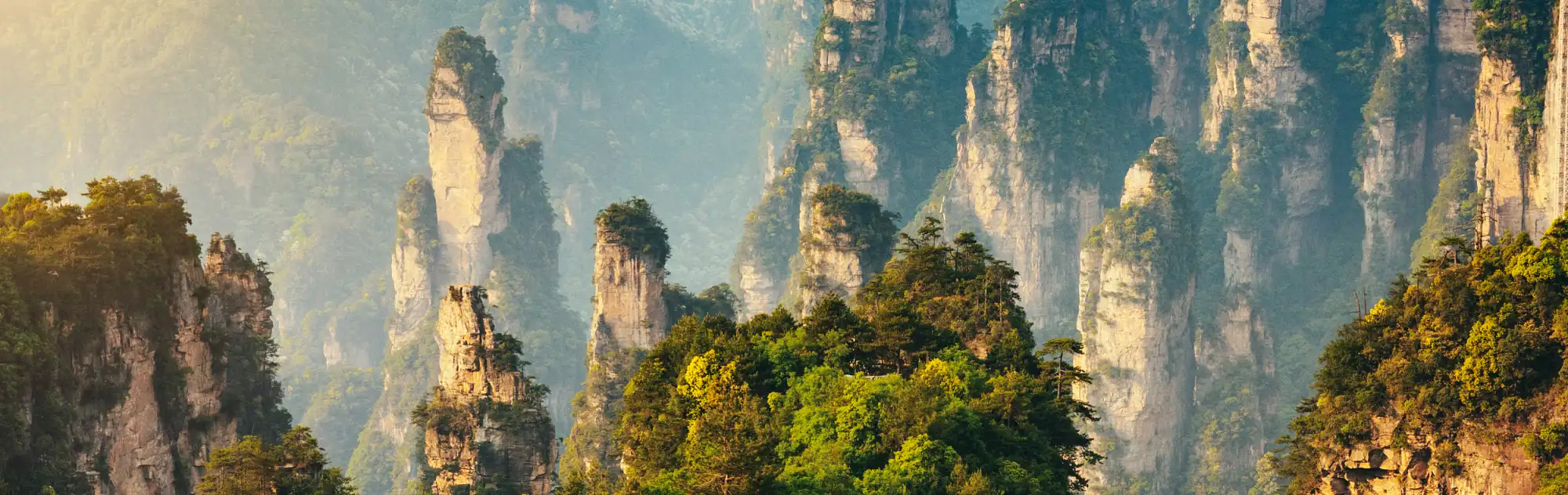 Zhangjiajie National Forest Park head