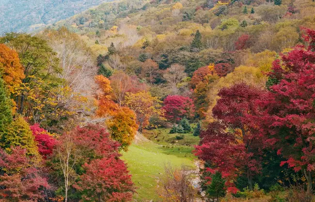 changbai-mountain-covered-by-the-autumn-foliage | China Xian Tour: Private & Tailor-Made China Tours changbai-mountain-covered-by-the-autumn-foliage