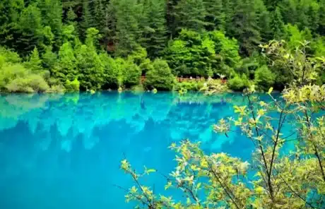 jiuzhaigou rhinoceros lake - China Xian Tour: Private & Tailor-Made China Tours jiuzhaigou rhinoceros lake