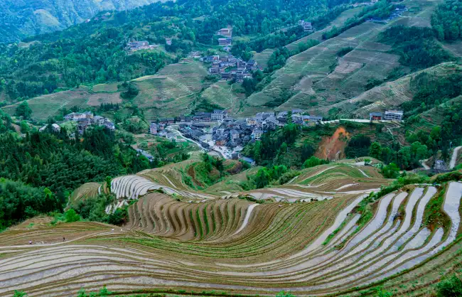 longji-rice-terraces-in-spring | China Xian Tour: Private & Tailor-Made China Tours Spring water filled Longji Rice Terraces