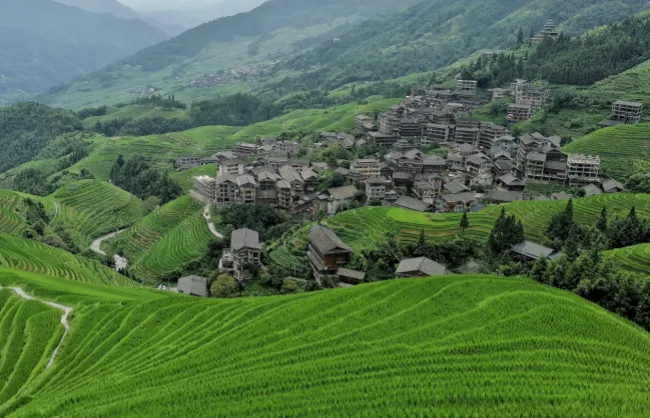 longji-rice-terraces-in-summer | China Xian Tour: Private & Tailor-Made China Tours Longji Rice Terraces in summer