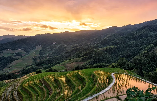 longji-rice-terraces-sunset-view | China Xian Tour: Private & Tailor-Made China Tours Longji Rice Terraces sunset view