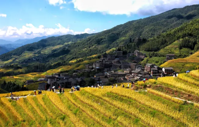pingan-zhuang-rice-terraces | China Xian Tour: Private & Tailor-Made China Tours Ping'an Zhuang Rice Terraces