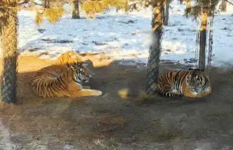 rewilding training area - China Xian Tour: Private & Tailor-Made China Tours Rewilding Training Area