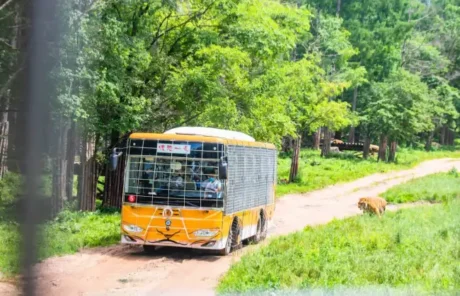 safari-style sightseeing vehicles - China Xian Tour: Private & Tailor-Made China Tours Safari-style sightseeing vehicles