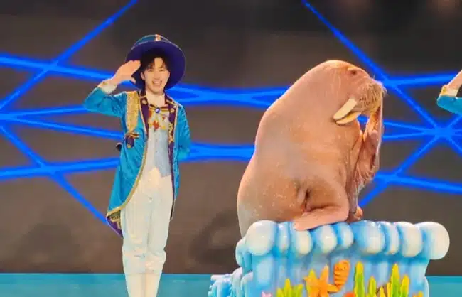 seal show - China Xian Tour: Private & Tailor-Made China Tours Seal Show