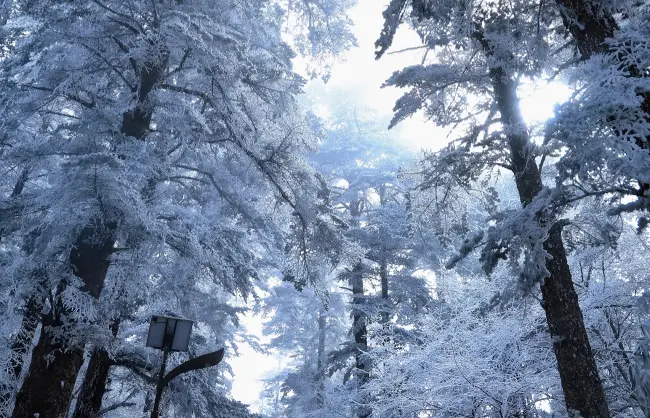 the-dream-like-scenery-in-mount-emei-after-snow | China Xian Tour: Private & Tailor-Made China Tours the-dream-like-scenery-in-mount-emei-after-snow