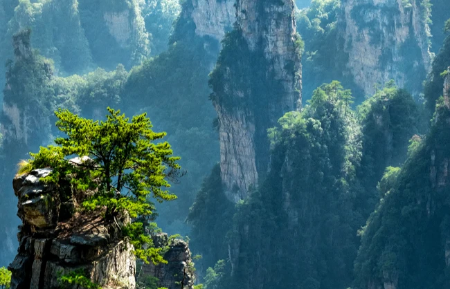 zhangjiajies-stunning-stone-pillars | China Xian Tour: Private & Tailor-Made China Tours zhangjiajies-stunning-stone-pillars