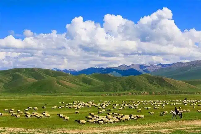 Grassland - China Xian Tour: Private & Tailor-Made China Tours