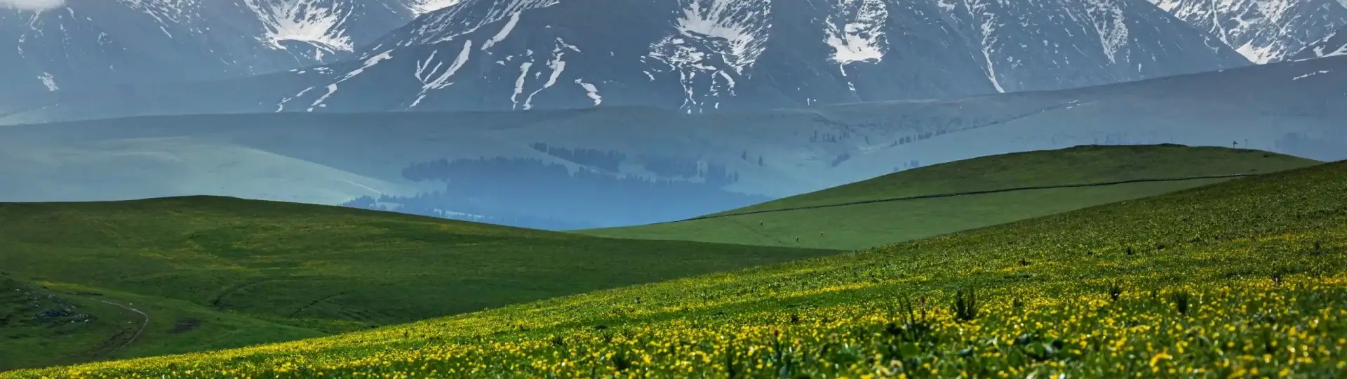 Xinjiang travel to Ili
