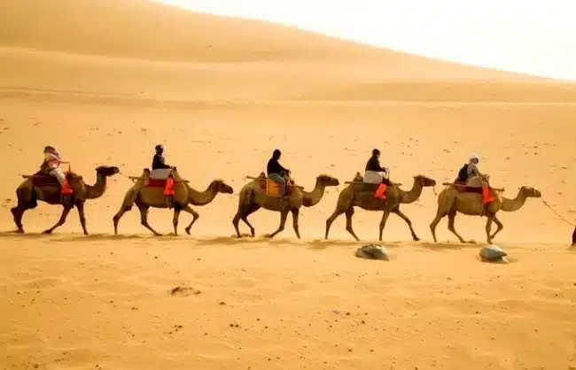 Camel ride at Echoing Sand Mountain in Dunhuang