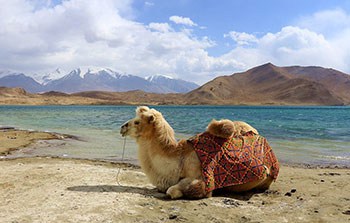 6 Days Xinjiang Culture-tracing Tour of Urumqi-Kashgar-Tashkurgan